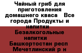 Чайный гриб для приготовления домашнего кваса - Все города Продукты и напитки » Безалкогольные напитки   . Башкортостан респ.,Мечетлинский р-н